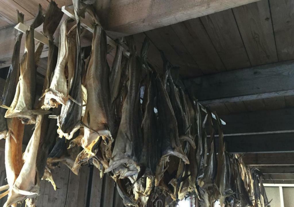 Nyksundrom, Nyksund Hotel Kültér fotó