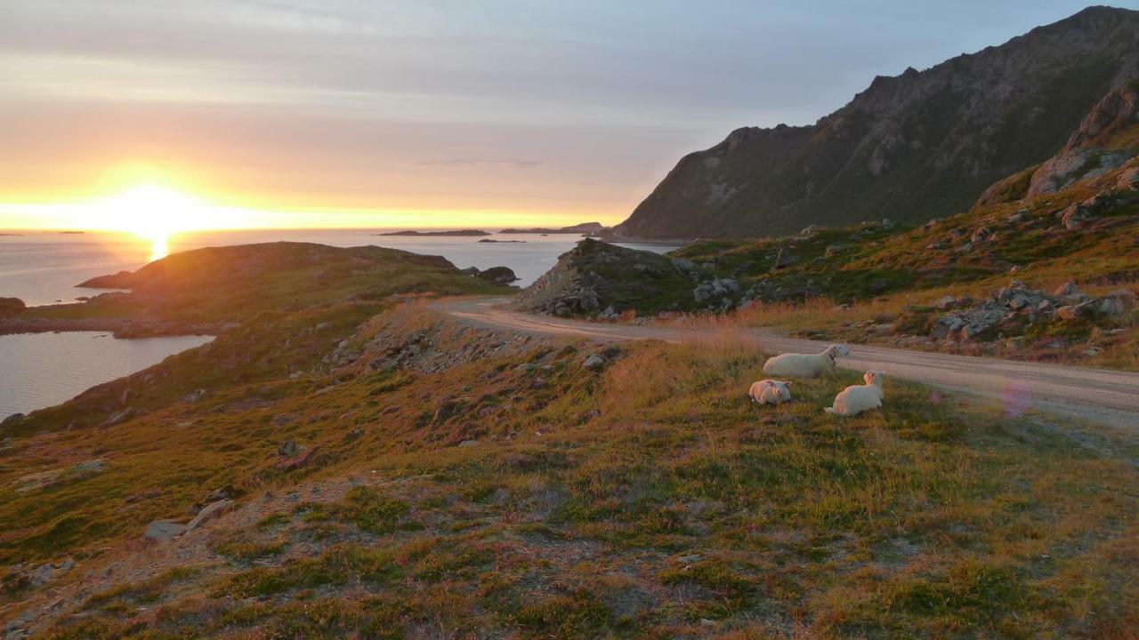 Nyksundrom, Nyksund Hotel Kültér fotó
